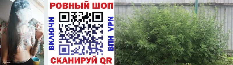 Где можно купить наркотики Дзержинский Cocaine МАРИХУАНА МЕФ Гашиш