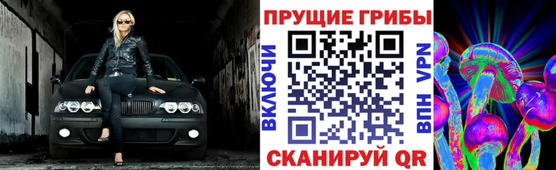 мориарти телеграм  Дзержинский  Псилоцибиновые грибы MAGIC MUSHROOMS 